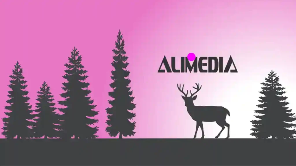 ALIZEL MEDIA